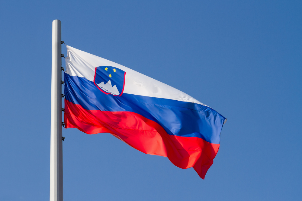 slovenia corte costituzionale